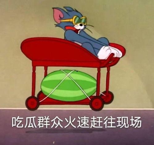 吃瓜打酱油摸鱼划船,揭秘日常生活中的趣味瞬间